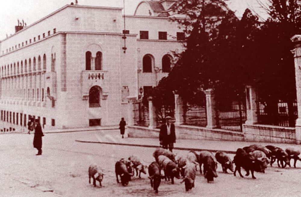 Svinjarski trgovci u srcu varoši